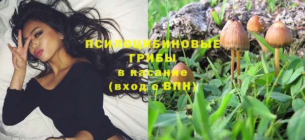 спиды Волосово