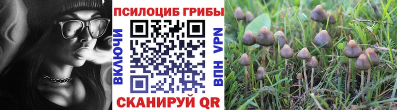Купить где  Шатура  Галлюциногенные грибы GOLDEN TEACHER 